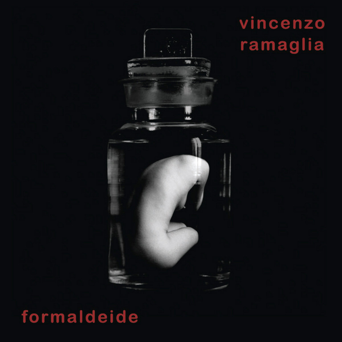 Copertina dell’album Formaldeide
